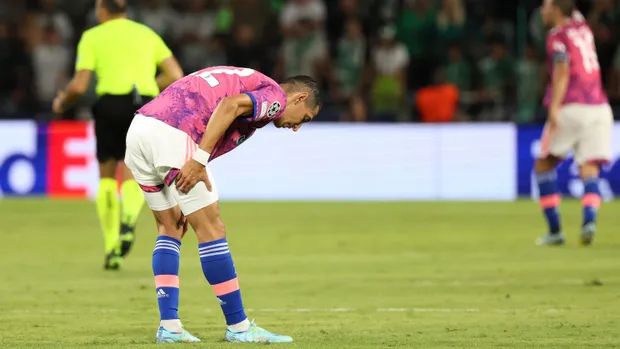 视频一本大道香蕉久在线播放
